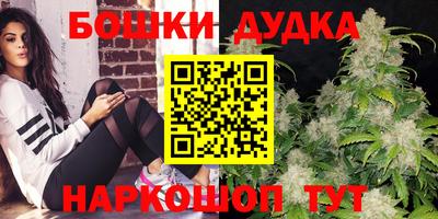 СК Новозыбков