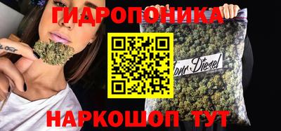 СК Новозыбков