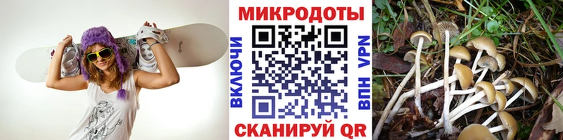 Галлюциногенные грибы MAGIC MUSHROOMS  сайты даркнета как зайти  Чебоксары  продажа наркотиков 
