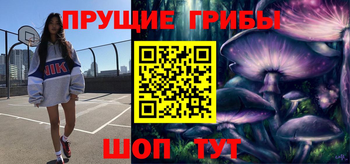 Псилоцибиновые грибы ЛСД  Вход с VPN  купить наркотики цена  Чебоксары  Псилоцибиновые грибы Psilocybine cubensis 
